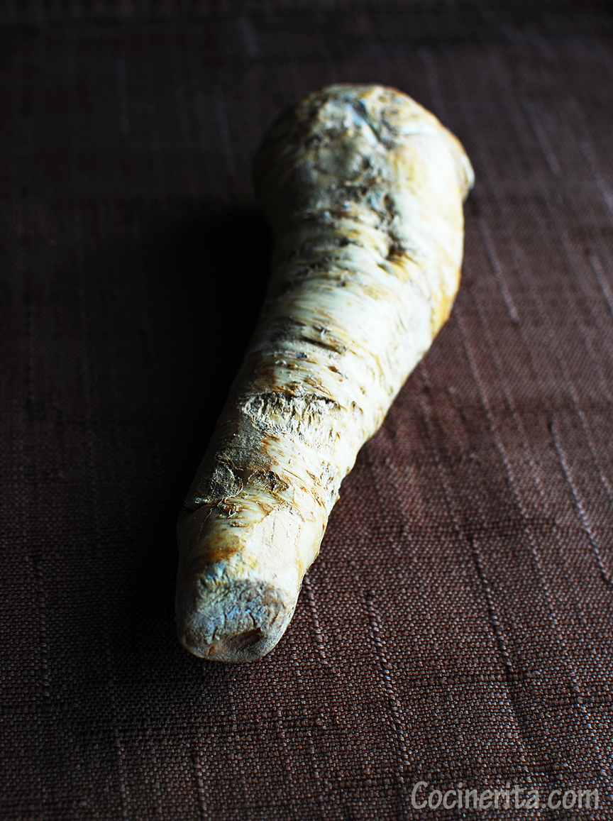 Fresh Horseradish Rabano Picante Fresco