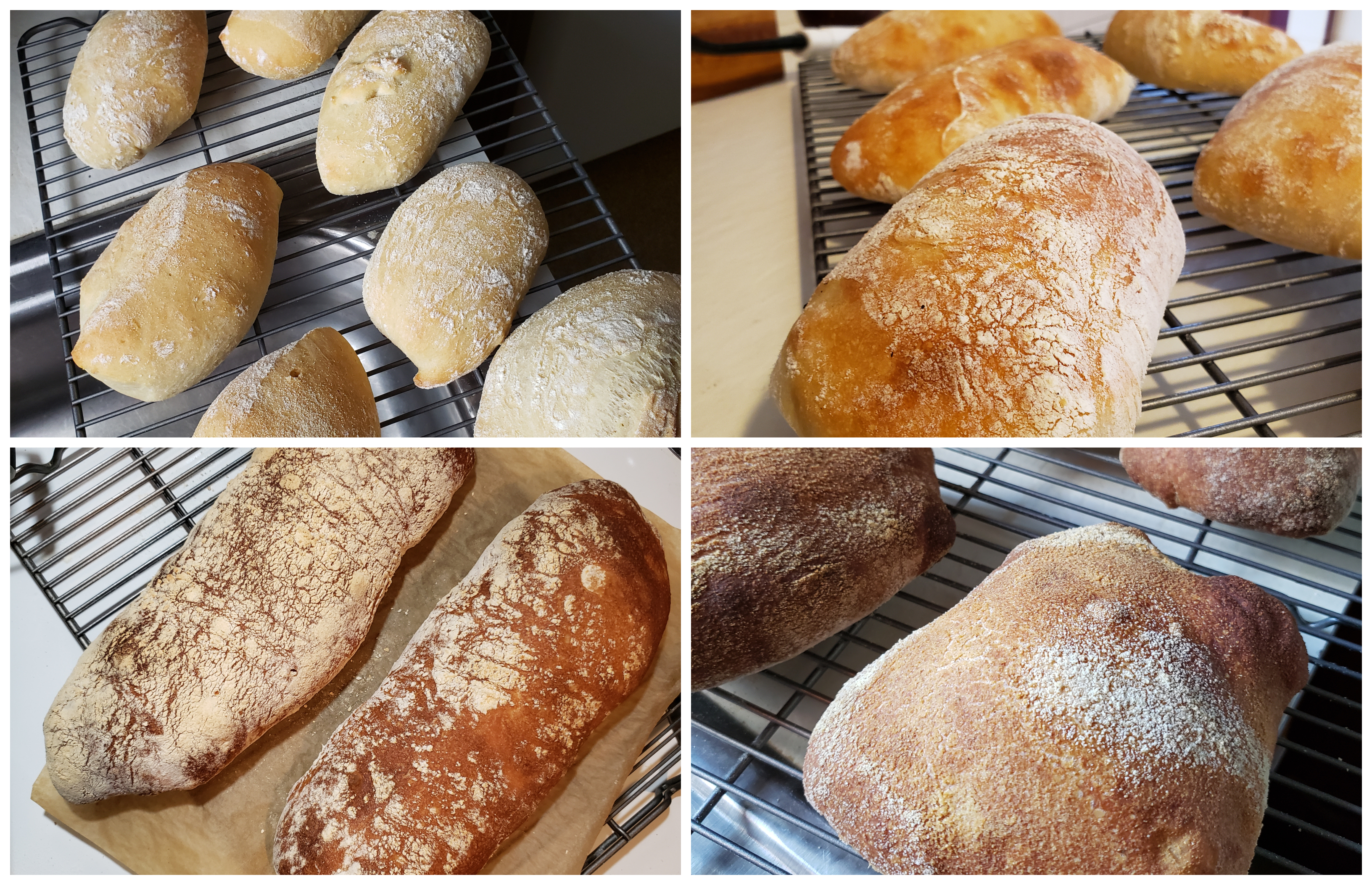 Different Ciabatta Baked Results (crusts)